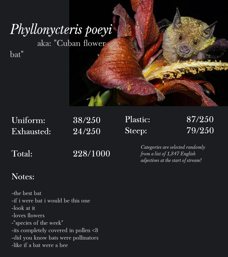 Phyllonycteris poeyi